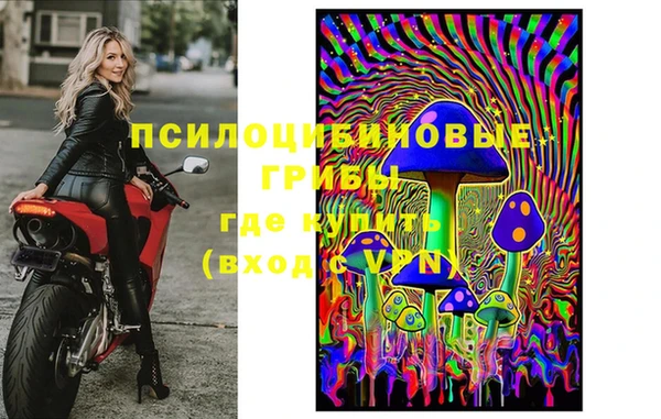 бошки Абинск