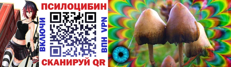 Псилоцибиновые грибы Magic Shrooms  Серпухов 
