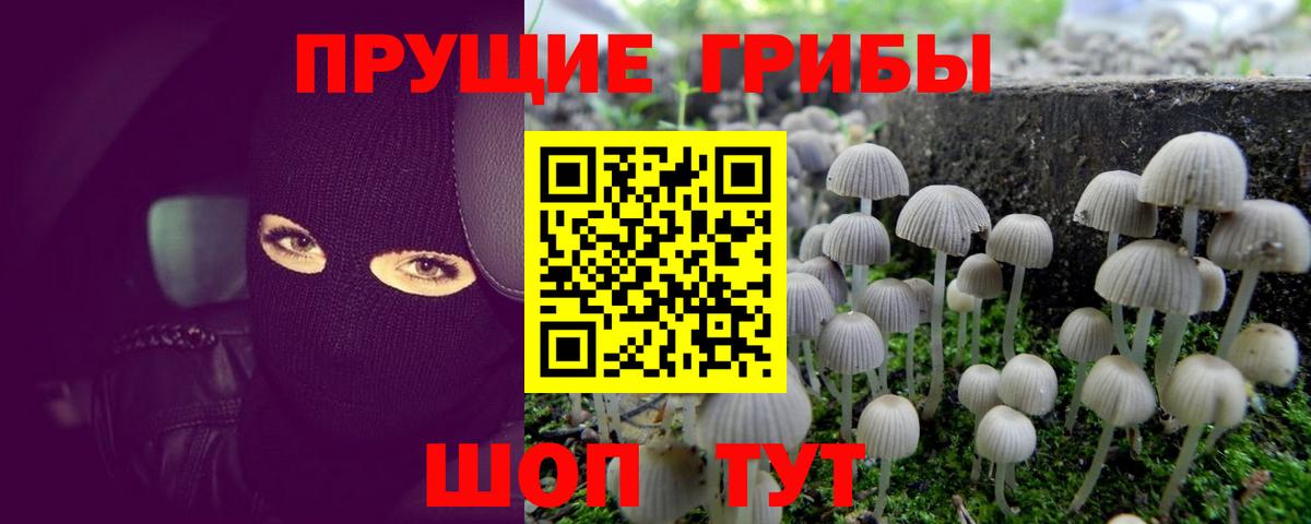 Серпухов  наркошоп  Вход с VPN  Псилоцибиновые грибы мухоморы 